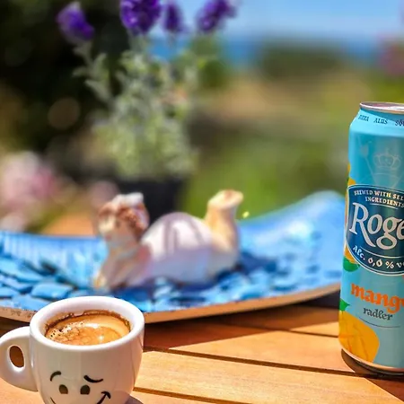 Mendy Sea View *
