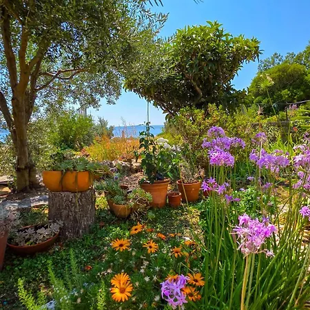 Apartment Mendy Sea View Kastel Sucurac